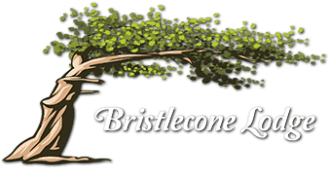 Bristlecone Lodge
