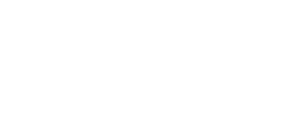 Separation Lake Lodge logo