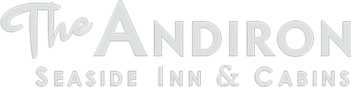 The Andiron Logo